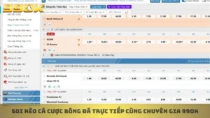 Cá Cược Bóng Đá