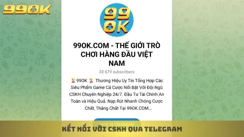 Kết nối với CSKH qua Telegram